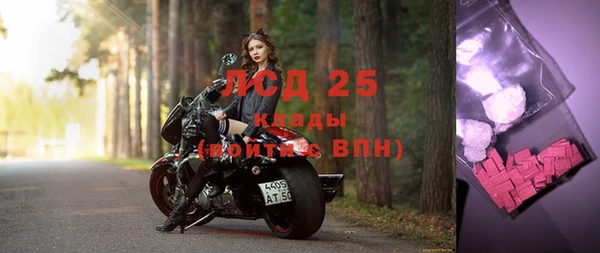 mix Богородицк