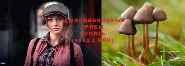 бошки Беломорск