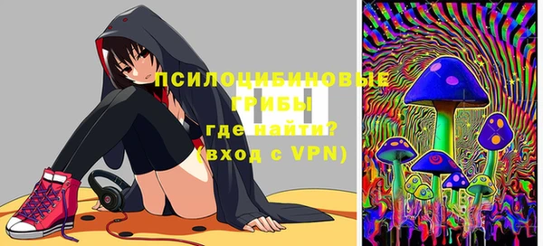 mix Богородицк