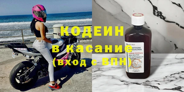 трава Белокуриха