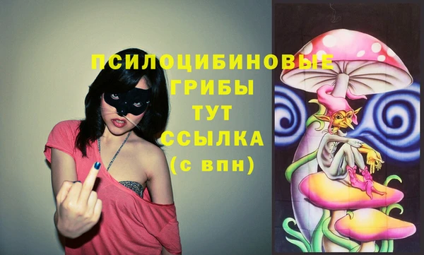 трава Белокуриха
